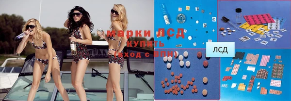 spice Киров