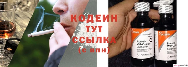молекула духа Пенза
