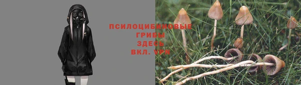 spice Киров