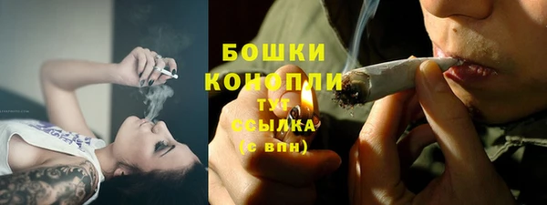 spice Киров