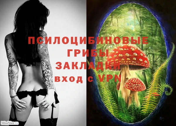 молекула духа Пенза