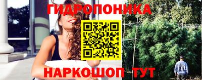 стафф Коммунар